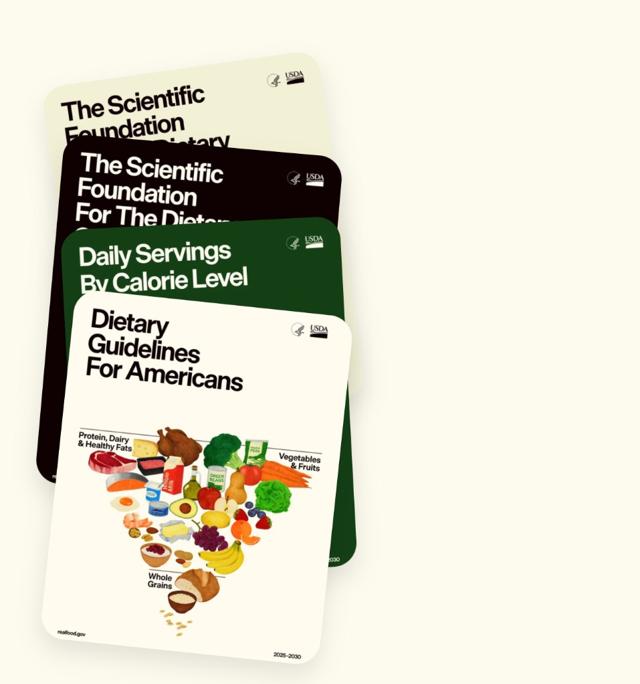 Concorde supersonic airplane